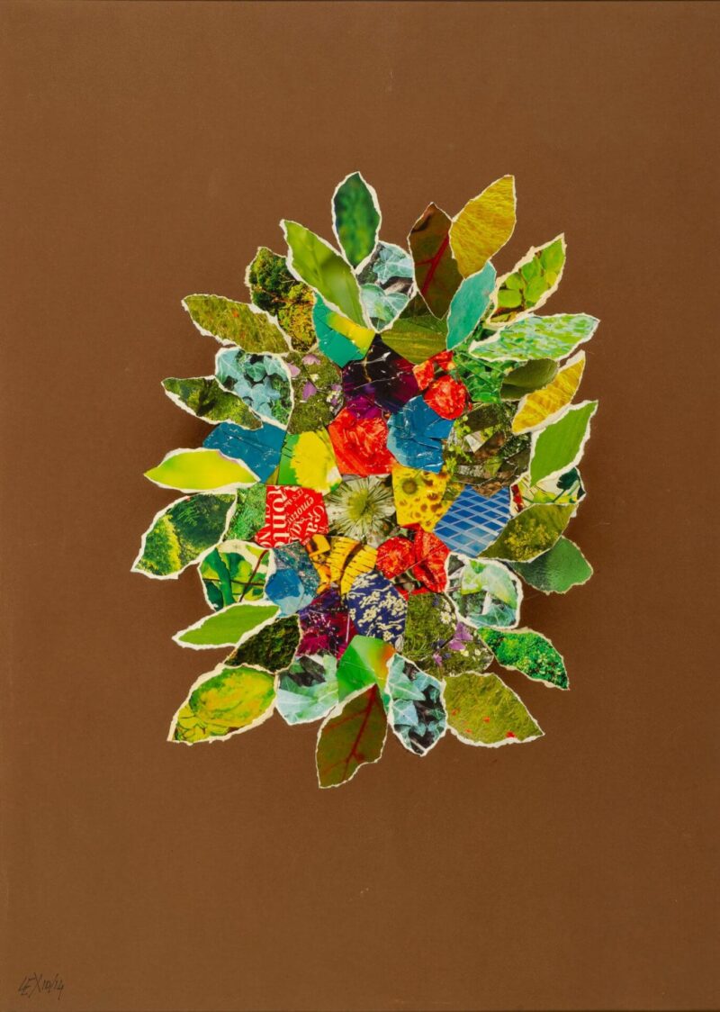 Bouquet - Lex Pauka
