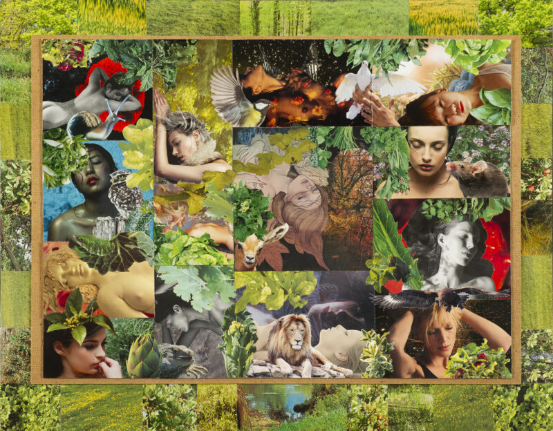 Green dream - Lex Pauka